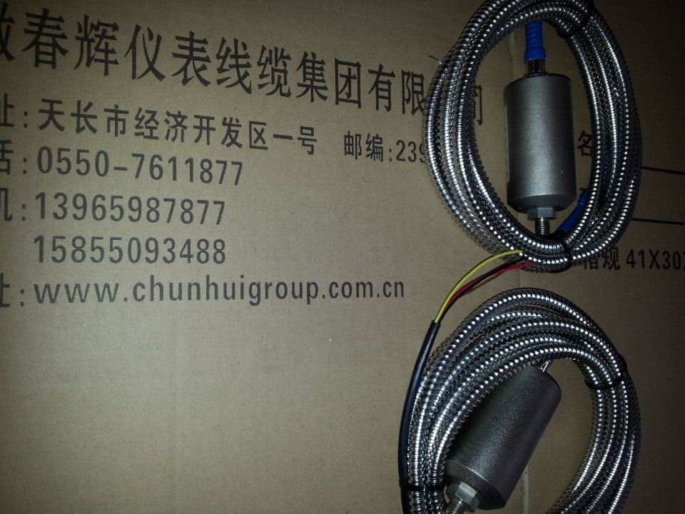 WS-6振动磁电式速度传感器