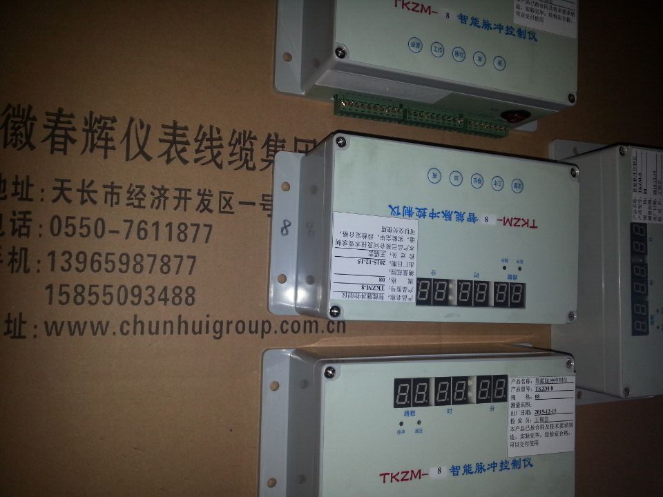 TKZM-12，TKZM-10，TKZM-8，TKZM-20脉冲控制仪
