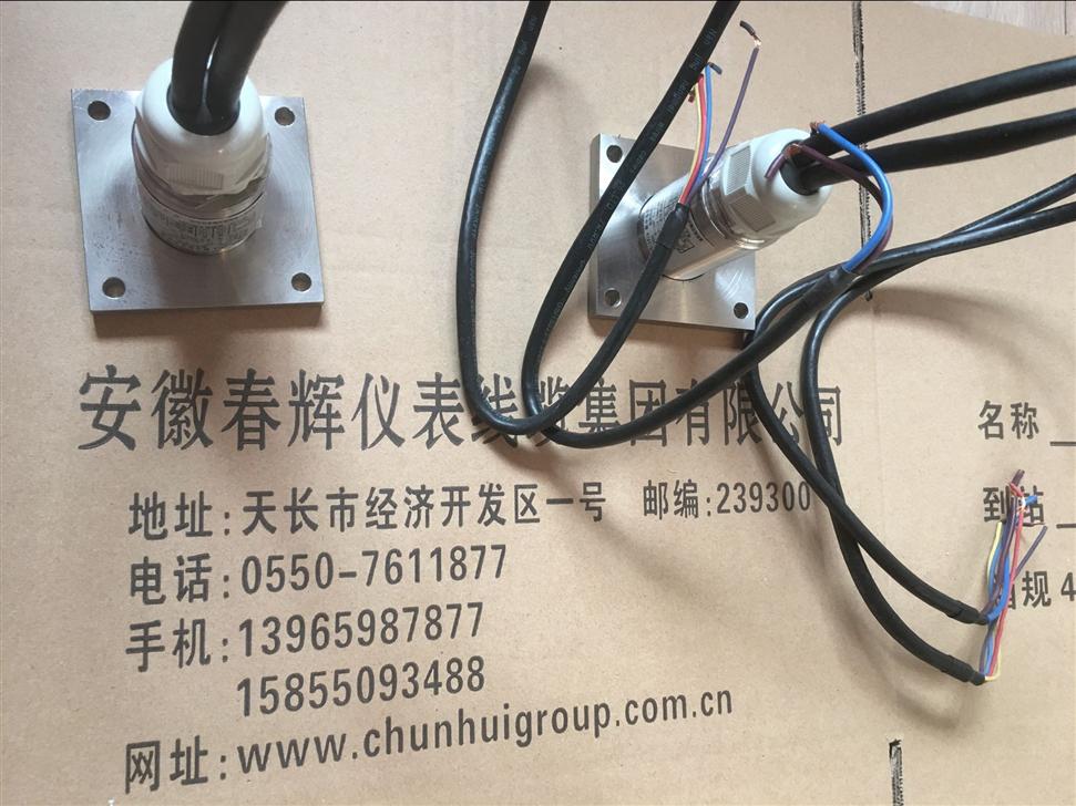 SWZT-1F/A分体式振动温度变送器（振动探头）