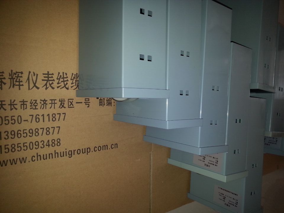 竖式/横式极限水位报警仪UDX-42/41