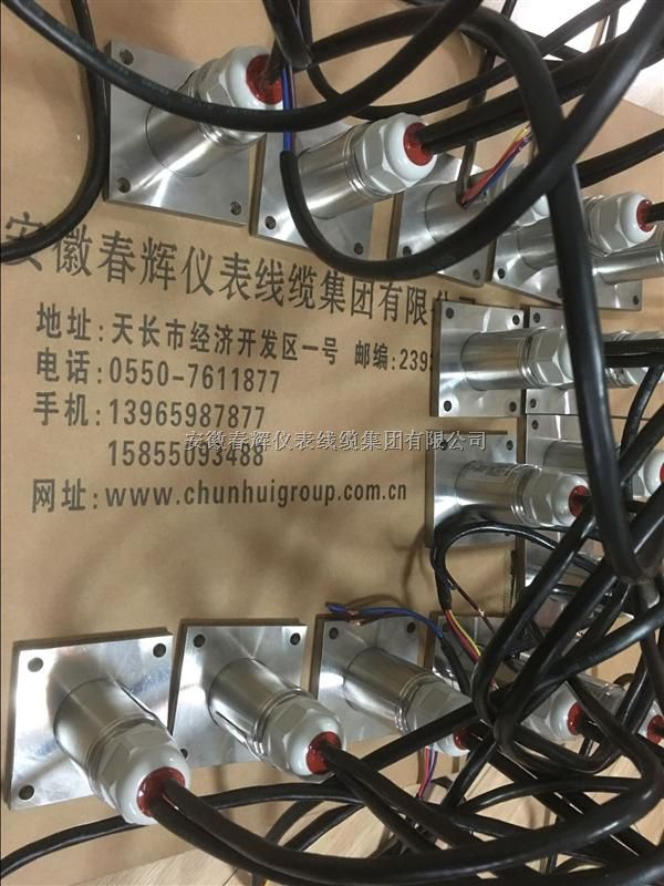 春辉仪表：分体式振动温度变送器（振动探头）