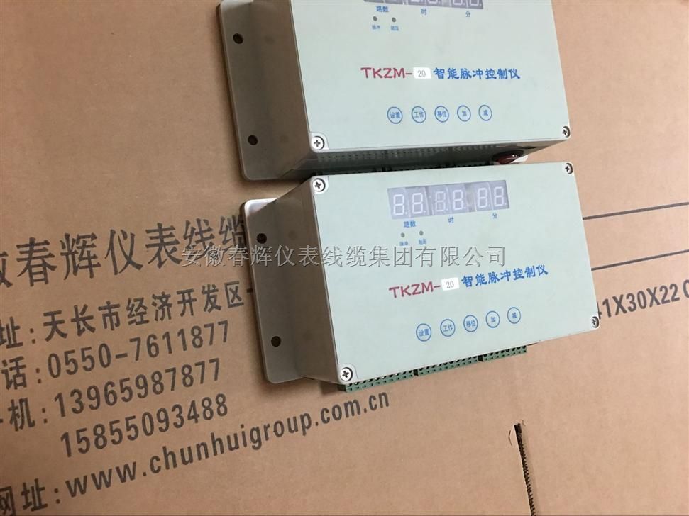真实产品图片脉冲控制仪TKZM-06、TKZM-08、TKZM-12、TKZM-15、TKZM-18