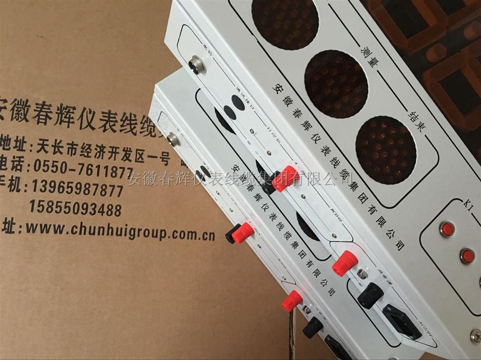 SCW-98四种分度号:壁挂式微机钢水数字测温仪