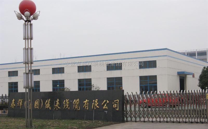 WT-D0-A1-B100-C2-D1轴向振动位移传感器
