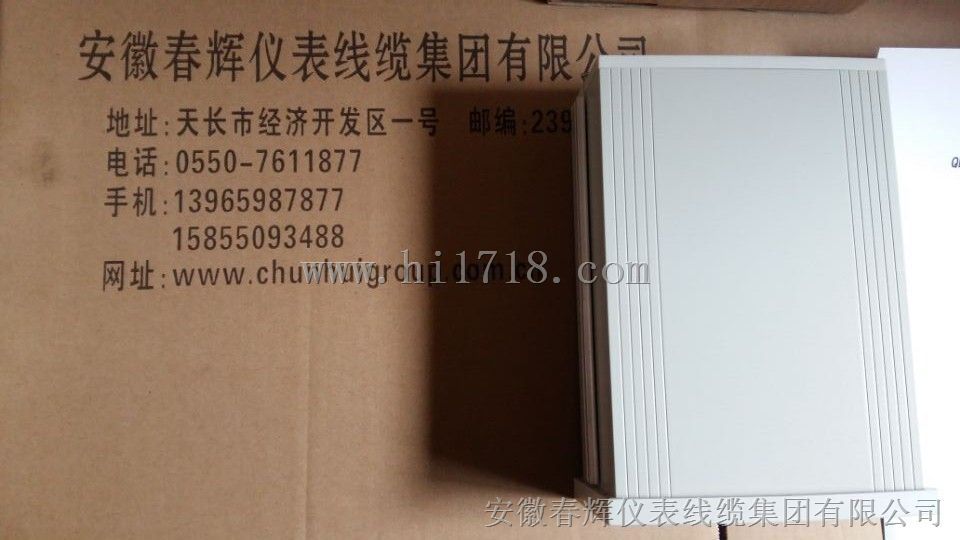 液位锅炉控制仪/水位控制器DS-8S