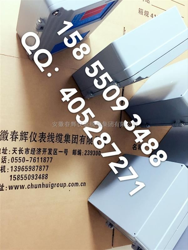CZJ-B3-A03-B01-C01，CZJ-B4G-A02-B01-C01振动监视仪
