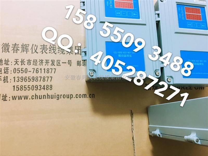 CZJ-B2-A02-B01-C01 CZJ-B4G-A01-B01-C01监视振动仪
