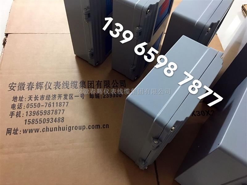 HZD-WL-B-A2-B2-C2-D2，HZD-W/L-F-A02-B02-C02-D02振动仪表
