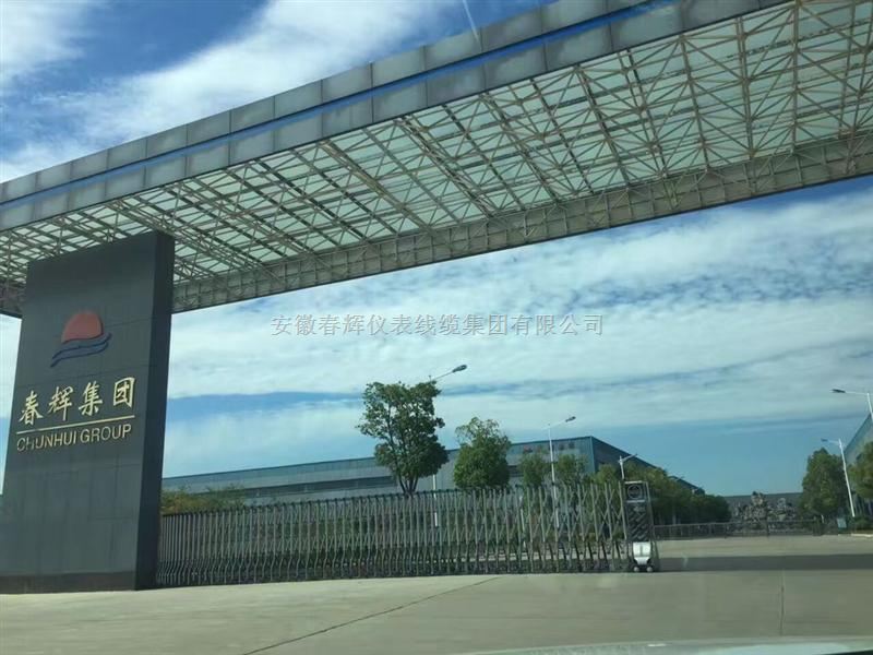 振动监视仪震动传感器轴向位移监控仪转速监控仪油箱油位指示器电涡流传感器振动变送器胀差传感器厂家