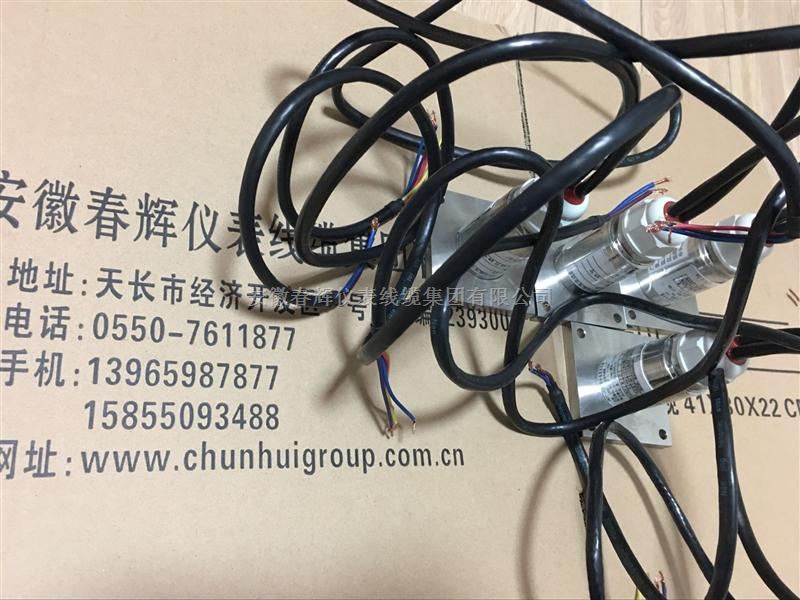 双孔防水接头不锈钢安装板保护壳 温度振动变送器SWZT-IF/A