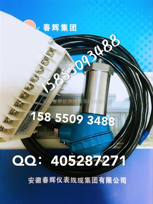 安徽春辉微型两线制一体化振动变送器HZD-YD,BSQ011