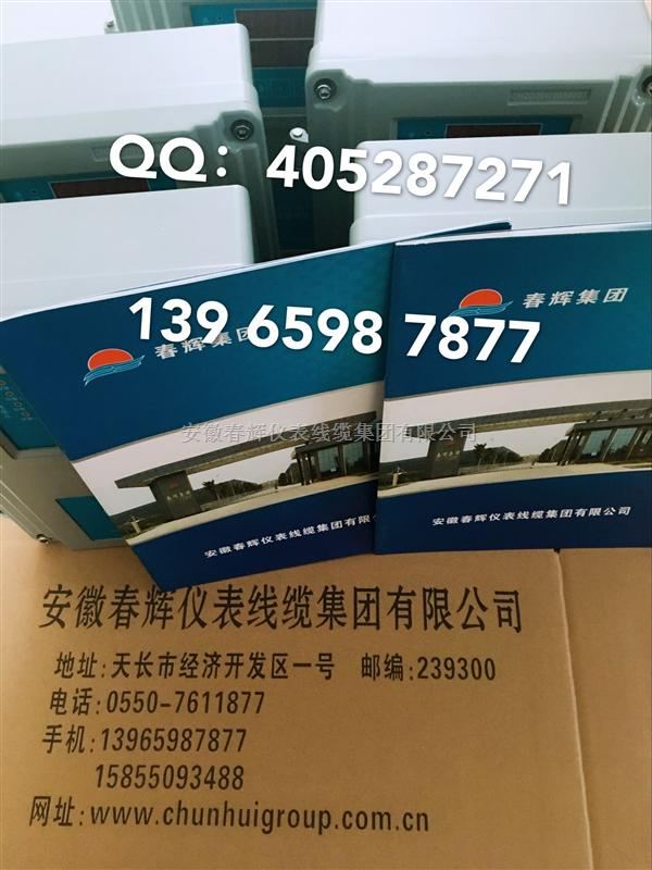 幅度烈度振动检测仪CZJ-B3G-A02-B01-C01
