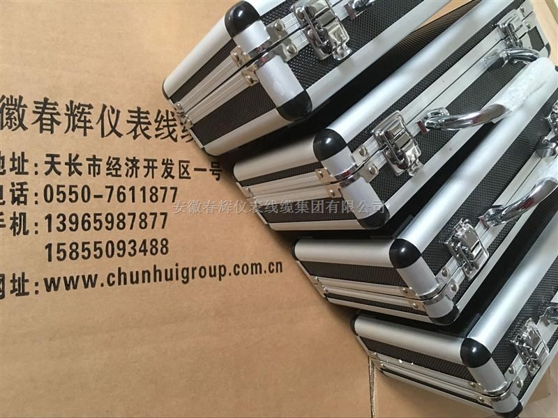 chunhui振动探头YZHB-A2-B1-C1-D5-E1-F1-G1 0-200um