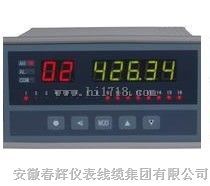 SRE-96D温度巡测仪