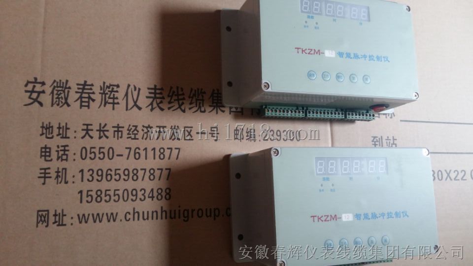 TKZM-20脉冲控制仪