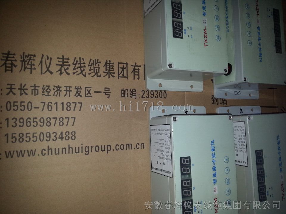 TKZM智能脉冲控制仪
