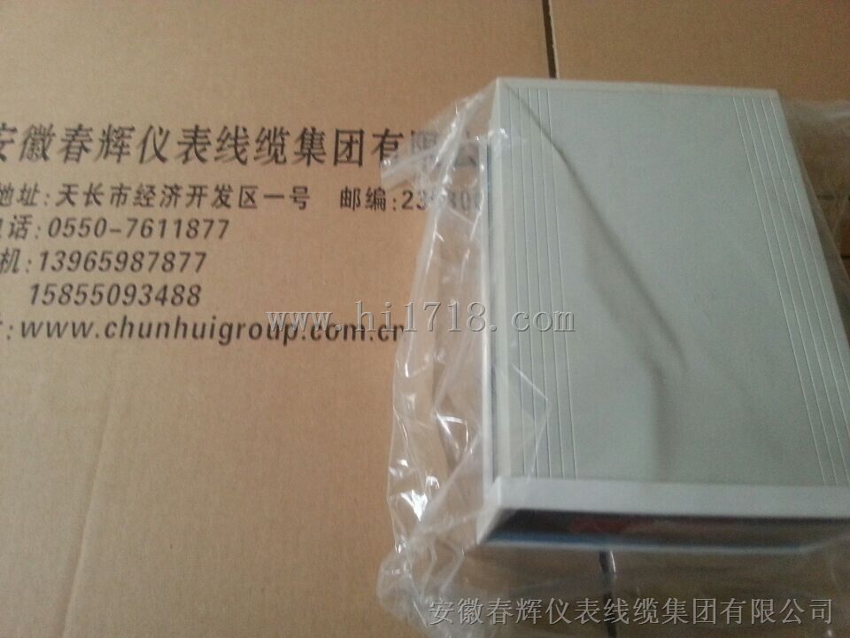 转速监测保护仪TRS-2