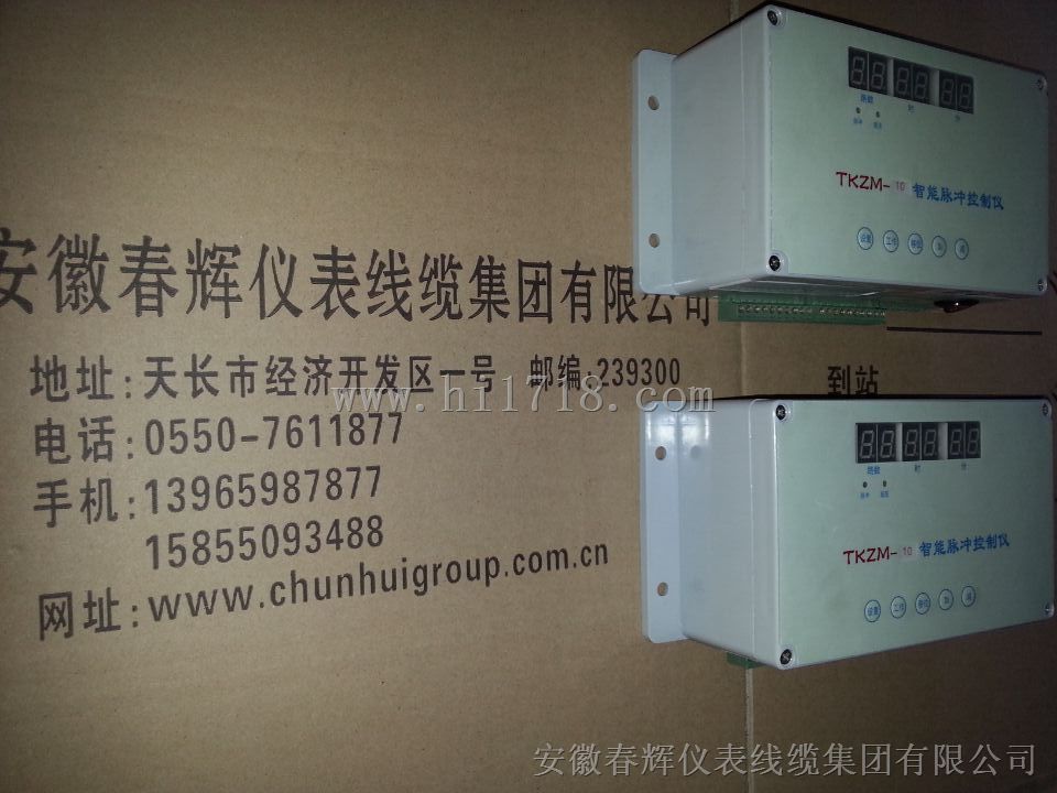 TK2M-12智能脉冲控制仪