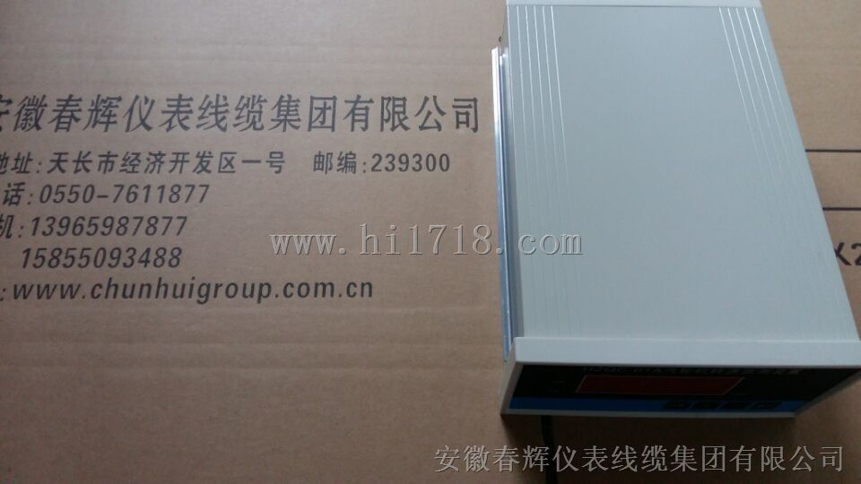 DS-8S液位监控仪
