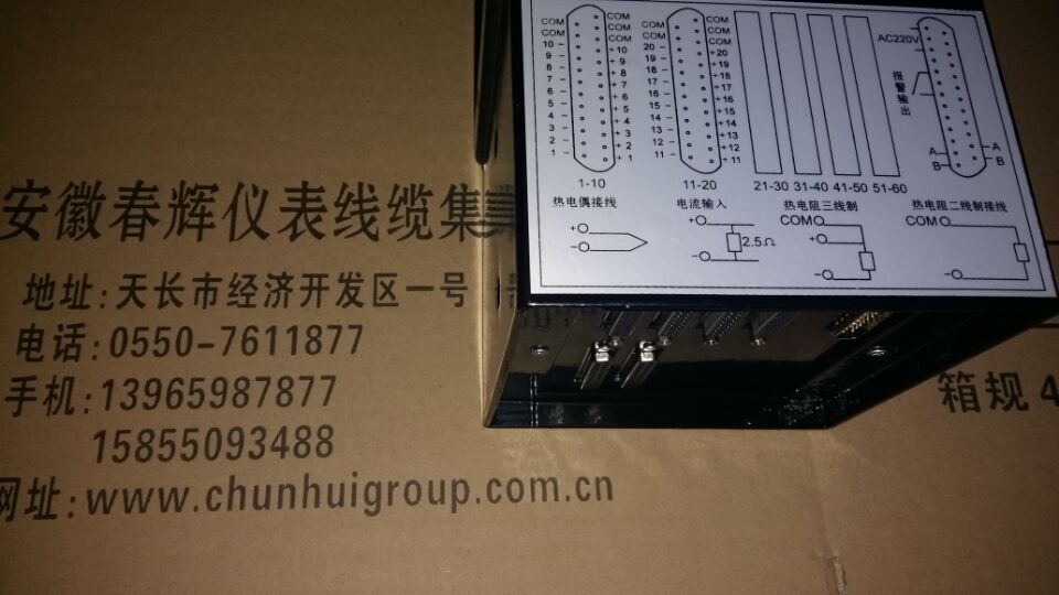 XZG-102/S圆图数显记录仪