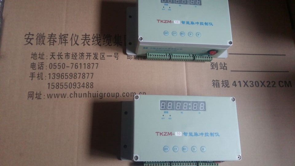 TKZM脉冲控制仪图片