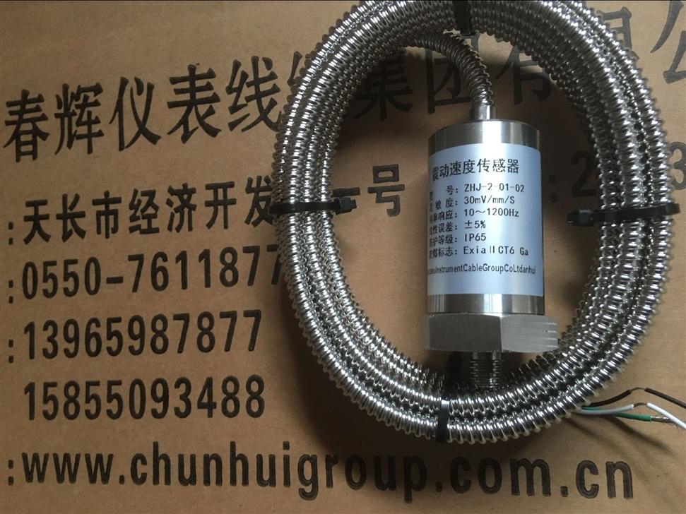 ZHJ-2-01-02震动传感器