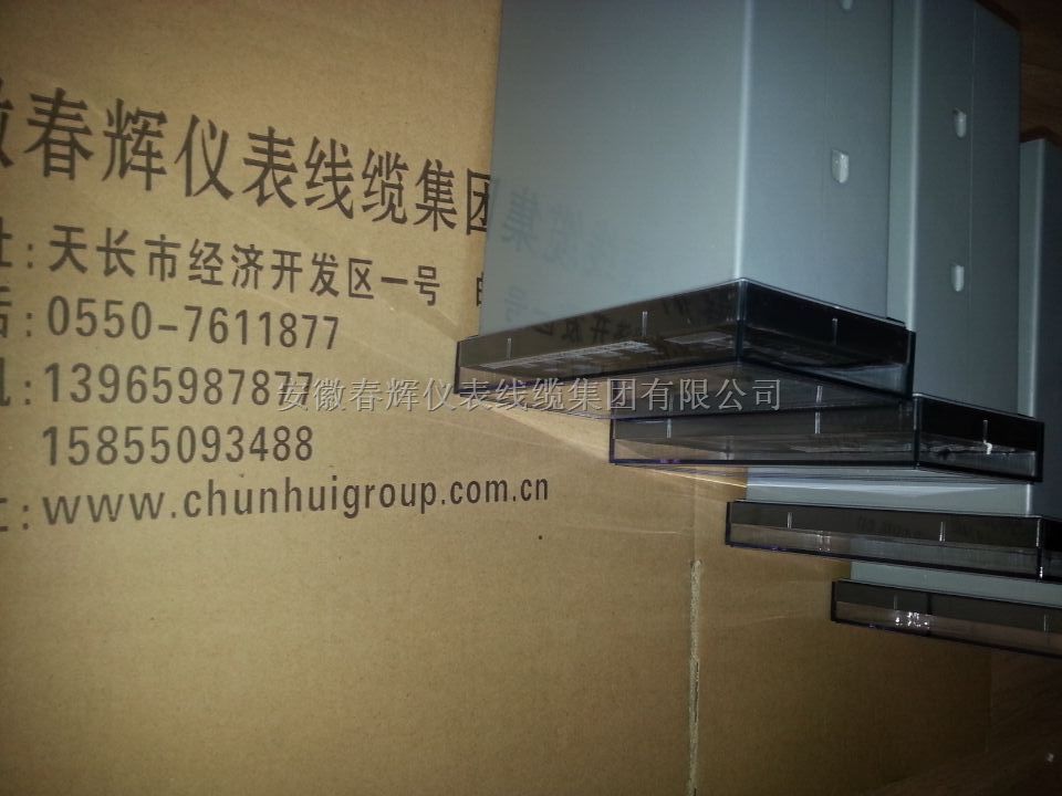 智能显示温度控制变送仪