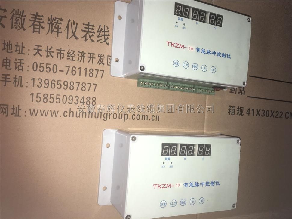 CH-TKZM智能脉冲控制仪