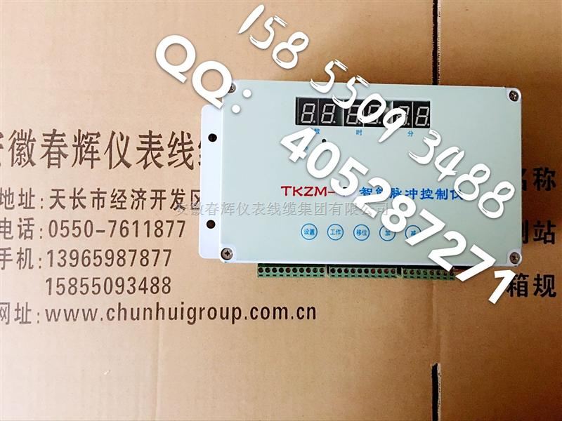 脉冲控制仪TKZM-7