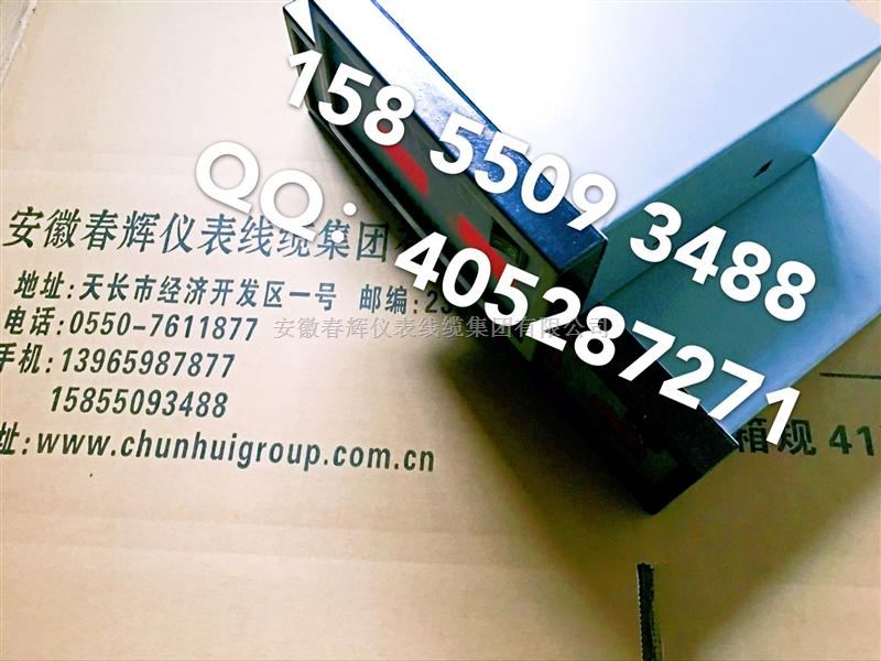 TWJ-112ED智能温度监测仪