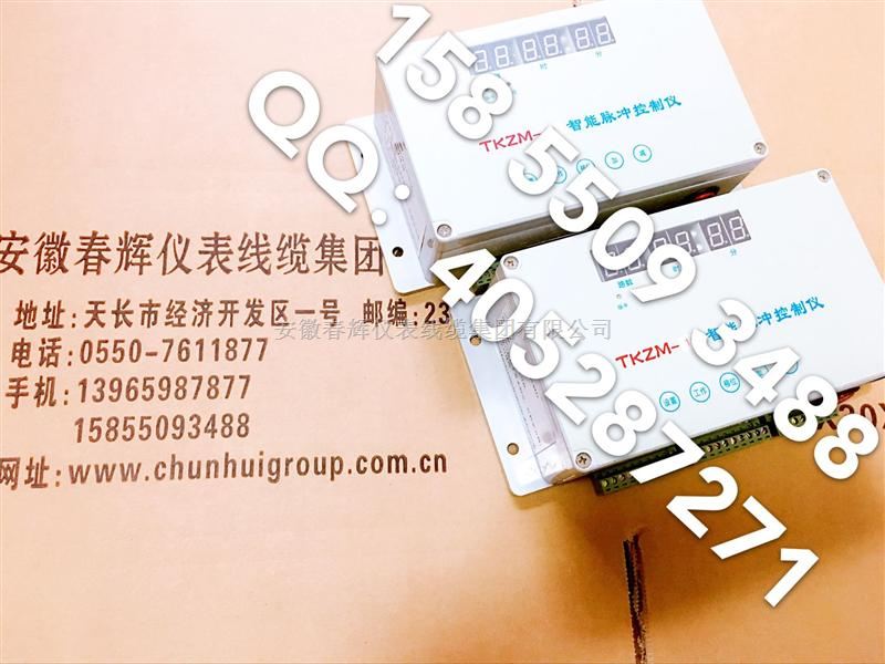 TKZM-6智能脉冲控制仪