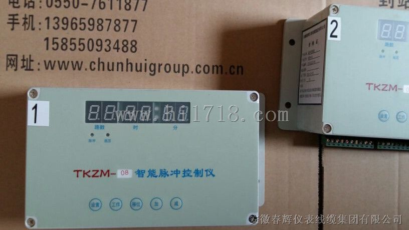 智能脉冲控制仪TKZM-30