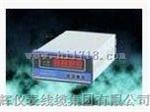 轴振动监视仪RDXZ-2