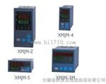 XMJB温度、压力补偿流量积算仪/XMJM流量积算仪
