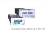 TPM/DTPM型单、双通道轴向位移监视仪