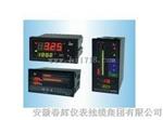 SWP-T804-81-12-2L2H-P,SWP-T804光柱显示控制仪
