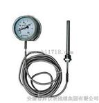 WTZ、WTQ-280、288F不锈钢防腐型压力式温度计