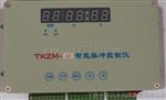 TKZM-11、12、13、14、15、16智能脉冲控制仪