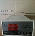 双通道振动监控仪表MLI-2001，ML1-2001