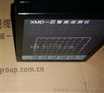 智能巡测仪XMD-20/40/60/80/100