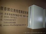 RDZW-2Na-A02-B00-C01-D02轴向位移胀差监视仪