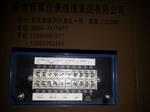 转速撞击子监视仪ZH2051