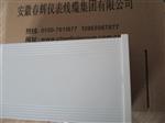 XH-S1-A02-B01-C01，XHS2G-A01-B02，XHS2G智能转速监测保护仪