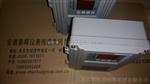 HZS-04T-S，HZS-04T挂壁式智能反转速监控仪