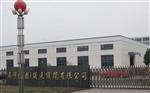WT-D0-A1-B100-C2-D1轴向振动位移传感器