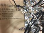 SWZF-1F分体式振动温度变送器震动探头