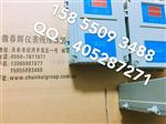 CZJ-B2-A02-B01-C01 CZJ-B4G-A01-B01-C01监视振动仪