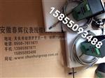 HZW-9一体化轴向位移轴振动变送器