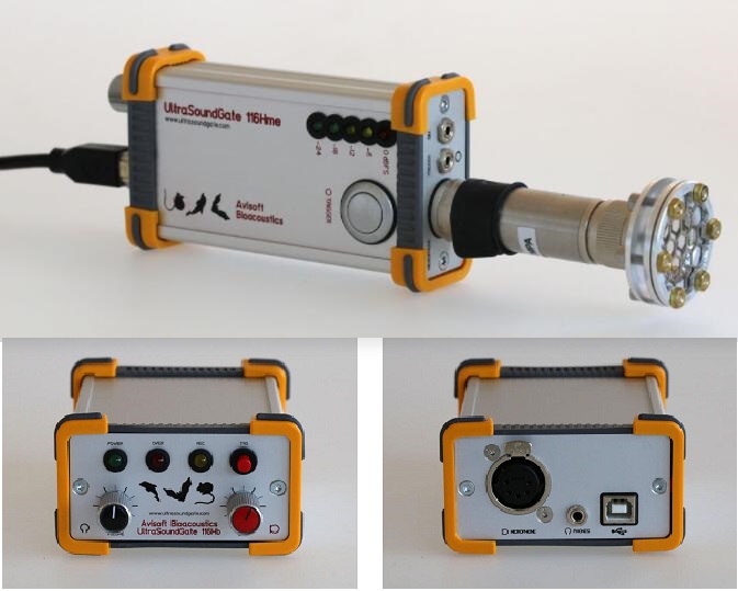 德国 Avisoft动物超声声谱分析系统116Hb