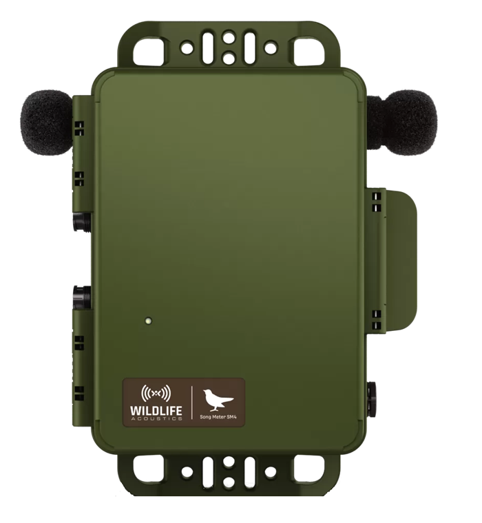wildlife野生动物鸣声记录仪
